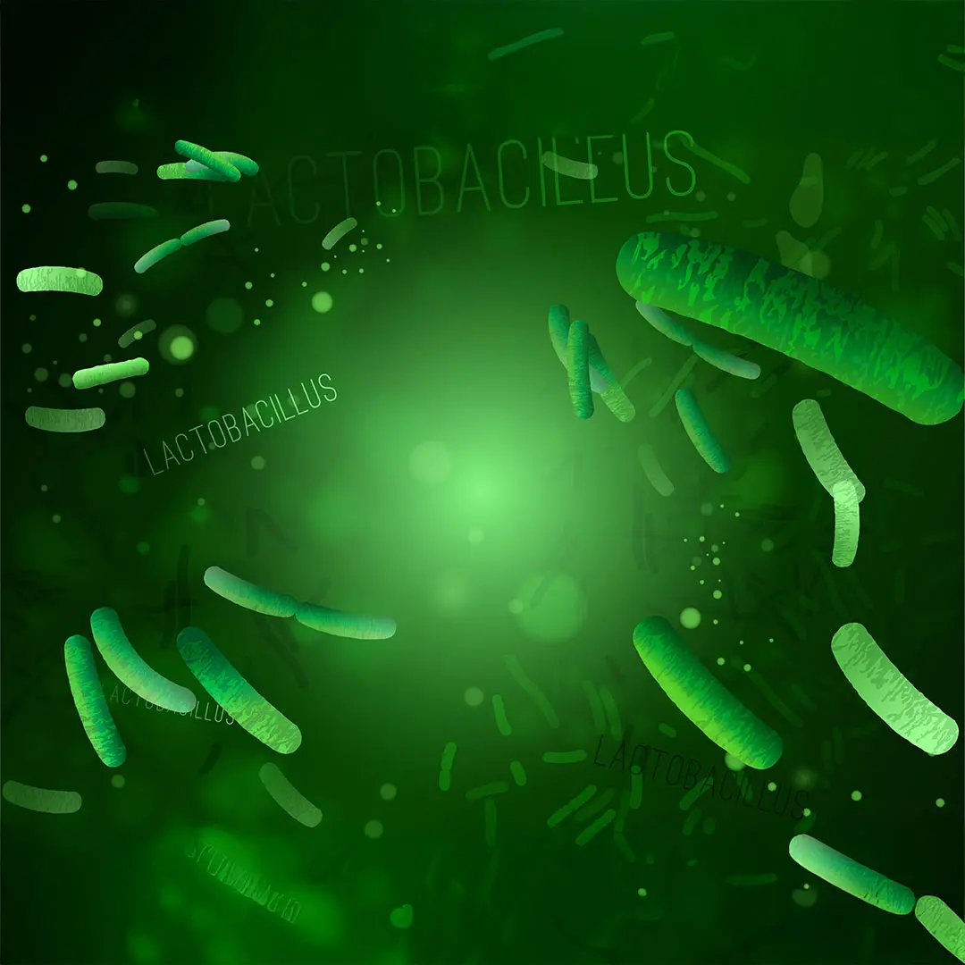 Vitamin K2